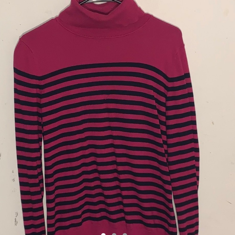 striped talbots turtle neck sweater